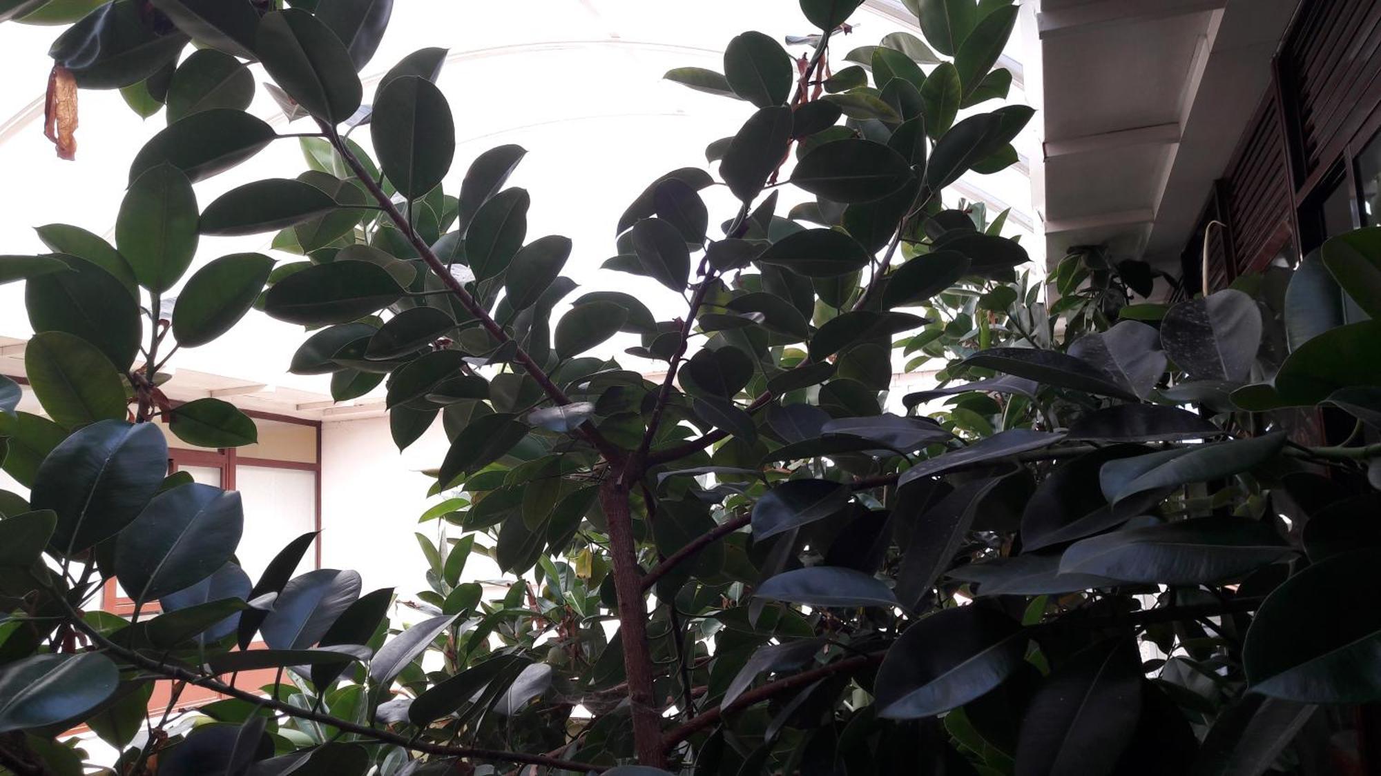 Hotel Torres Tourino Sanxenxo Zewnętrze zdjęcie